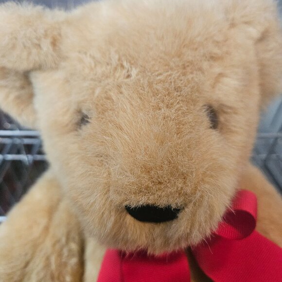 Vermont Bear - Picture 2 of 4